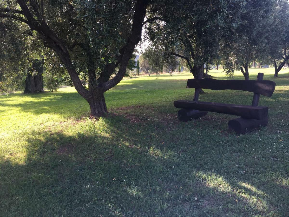 Corbezzolo Panzió Vallo della Lucania Kültér fotó