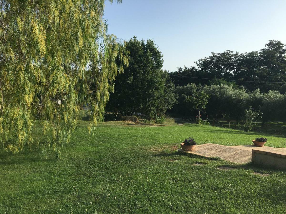 Corbezzolo Panzió Vallo della Lucania Kültér fotó