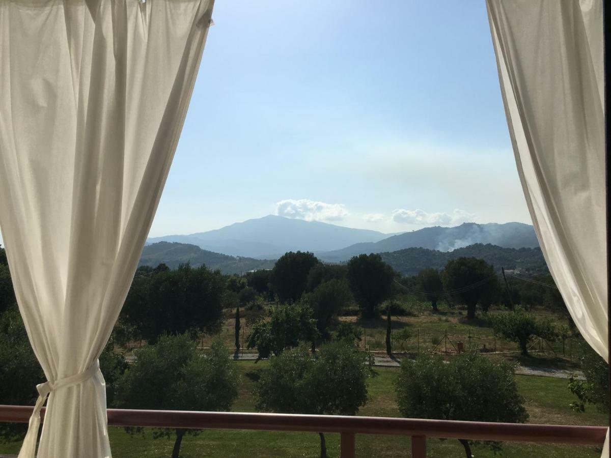 Corbezzolo Panzió Vallo della Lucania Kültér fotó